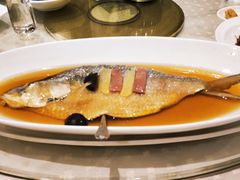 酒香鲥鱼-顺风海鲜港(金玉兰店)