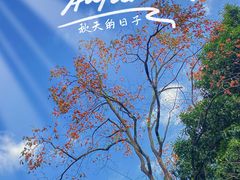 -杭州植物园