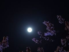 -红星桥(地铁站)