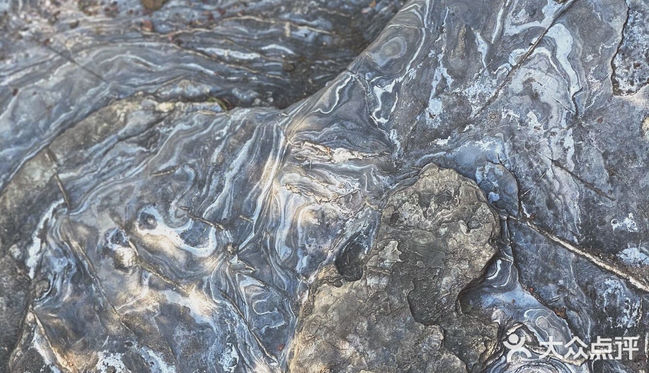🍁赏红叶啦！