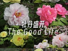 -仁和公园(顺义区)