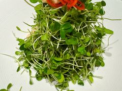 香椿苗拌桃仁-裕丰源豫食雅宴