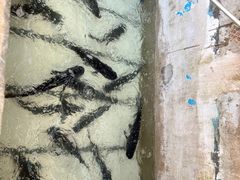 -姥家大锅台水库渔家
