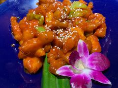 -觅山云南菜(泊富ICITY店)