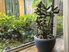 -慢丽江·云南野生菌土鸡锅(付家庄店)