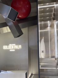 点击看大图 -金棕榈