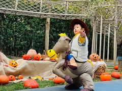 -绿橙国际幼儿园(汤泉逸墅校区)