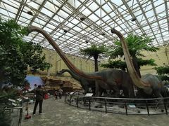 -国家自然博物馆