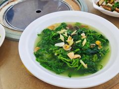 上汤浸桑叶-红日饭店(裕隆三路店)