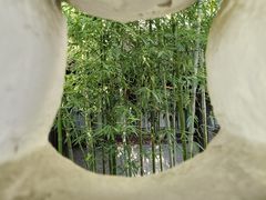 -梅园
