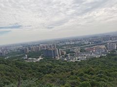 -杭州半山国家森林公园