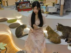 -COLOR PETS 撸猫馆·购猫·猫咖(长风大悦城店)