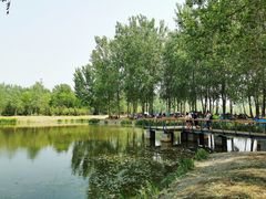 -东郊湿地公园