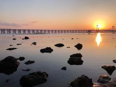 -星海湾跨海大桥