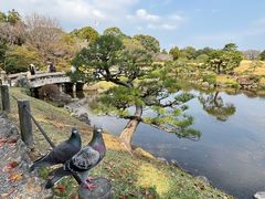 -水前寺成趣园