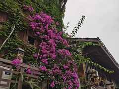 -磁器口古镇