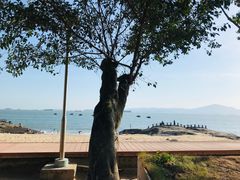 -黄金海岸环岛路