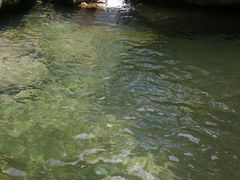 -藏龙百瀑漂流