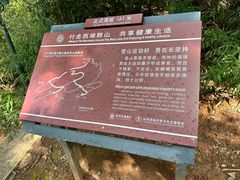 -九曜山