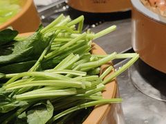 -龍歌自助小火锅(市北台东利群店)