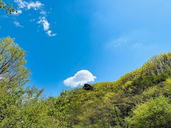 -大连天门山国家森林公园