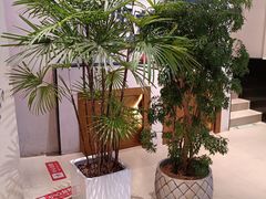 -老高烧烤(龙华星河iCO店)