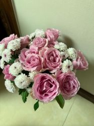 -北京圣宝妇产医院·妇产科·儿科