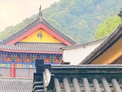 -杭州半山国家森林公园