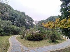 -东湖落雁景区
