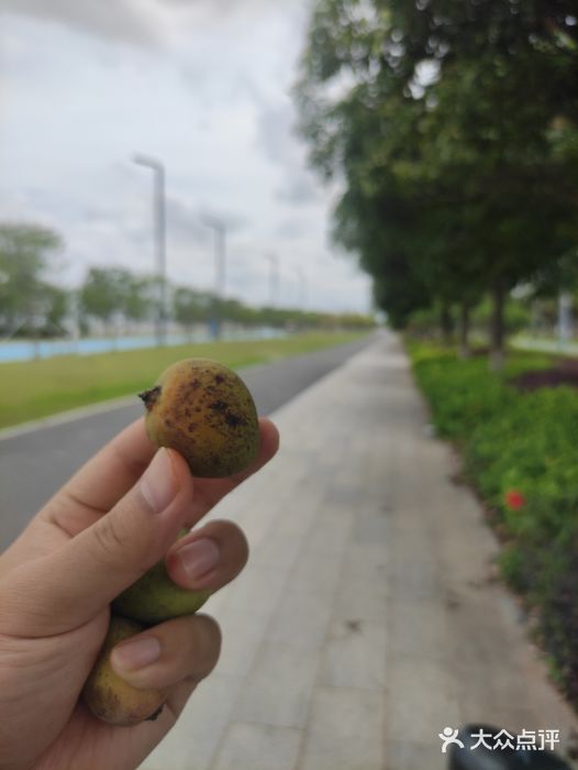 滨海公园图片