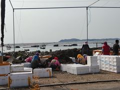 -大长山岛
