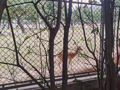 -西安秦岭野生动物园