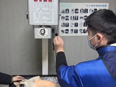 -美联众合动物医院·24h京西诊疗中心