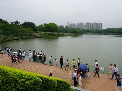 -东莞植物园