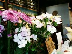 -猫的天空之城概念书店(杭州南宋御街店)