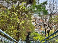 -佛山华盖山公园