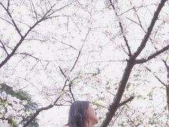 -武汉大学-樱园