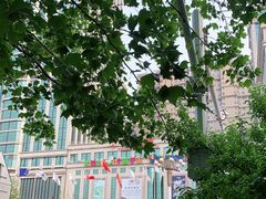 -石家庄海洋公园