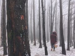 -山王坪喀斯特国家生态公园