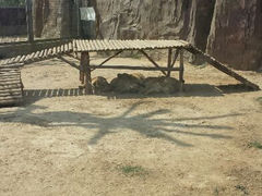 android_upload_pic-临沂动植物园