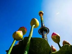 -南京银杏湖乐园