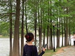-东莞植物园