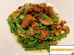 樟树港辣椒炒活海参-徐记海鲜(汉城湖|太奥店)
