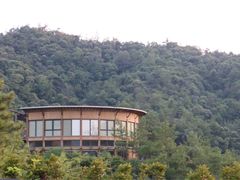 -莫干山郡安里度假酒店-桃尖中餐厅