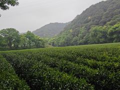-中国茶叶博物馆(双峰馆区)