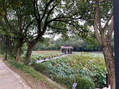 -兰亭风景区