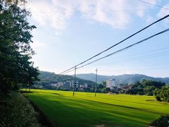 -广州市流溪河国家森林公园