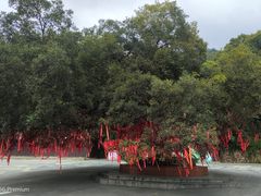 -句容茅山景区