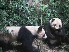 -昆明动物博物馆