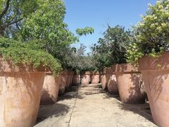 -平湖九龙山庄园圣马可酒店